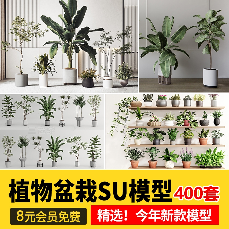 绿植植物花盆盆栽盆景松树单体草图大师SU模型室内花卉花草素材库-1