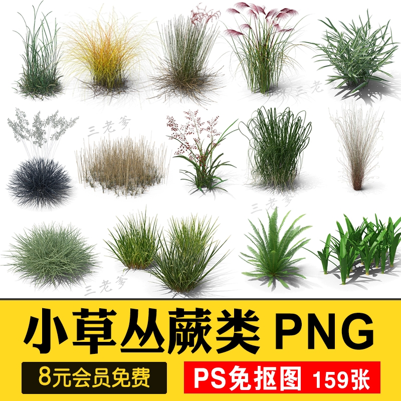 小麦芦苇小草丛草芦三叶草蕨类植物杂草PNG免扣后期PSD合成PS素材-1
