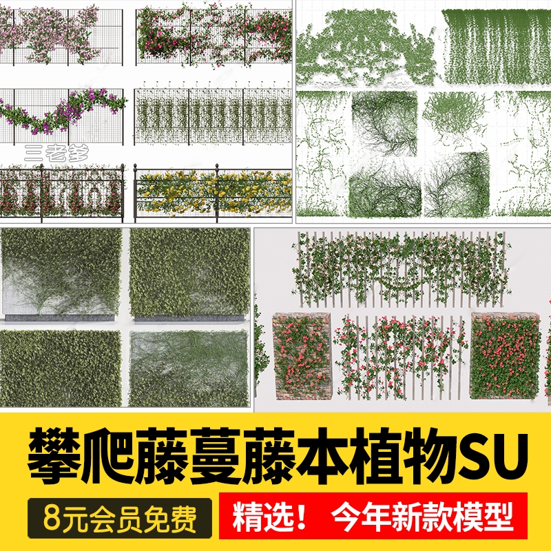 垂直绿化攀爬藤本植物紫藤常春藤爬山虎吊藤蔓景观SU模型草图大师-1