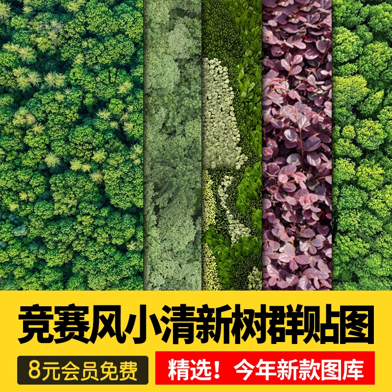 2023竞赛风平面ps鸟瞰树群树丛植物彩平素材草丛灌木绿植灌木贴图-1