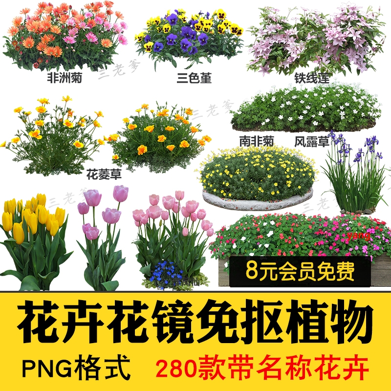 花卉植物procreate花镜 鲜花坛PS效果图PNG免抠高清带名称psd素材-1