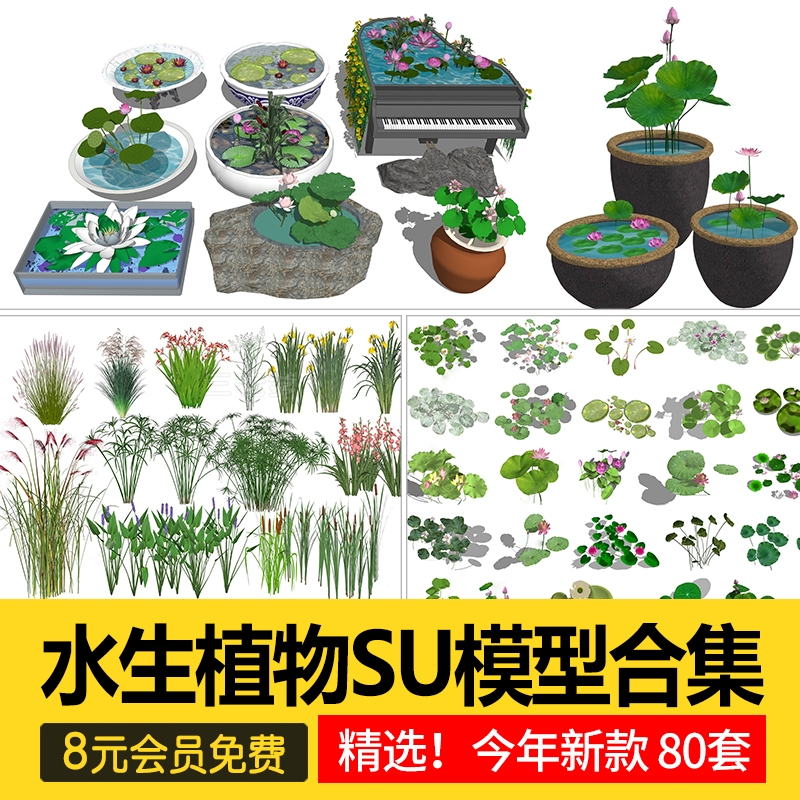 水生植物su模型鱼池生态湿地滨水公园池塘睡莲荷花荷草本草图大师-1