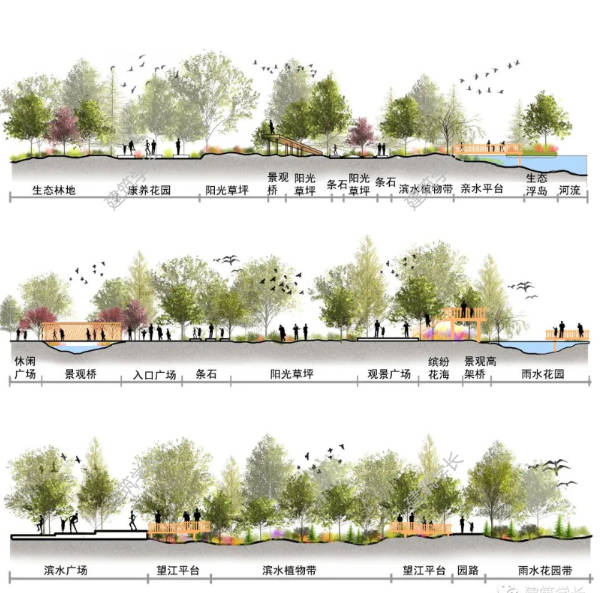 全新景观道路剖断面PSD源文件合集 剖面 分析 道路剖面 PS素材-1