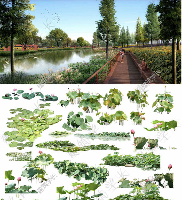 超全滨水景观案例合集文本资料SU模型+植物素材总平面PSD园林设计-1